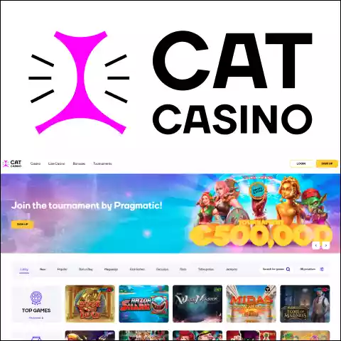 Отличные бонусы ждут гемблеров на сайте Cat Casino