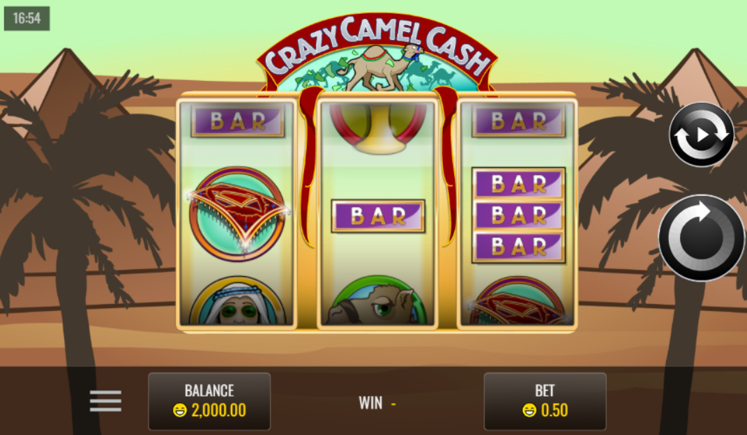 Crazy Camel Cash