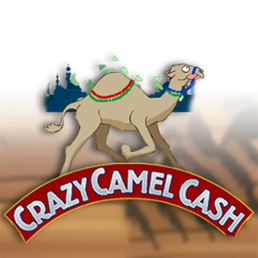Crazy Camel Cash Logo