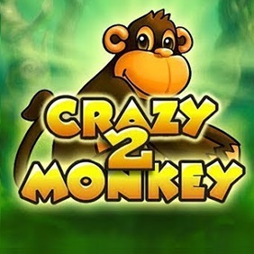 Crazy Monkey 2 Logo