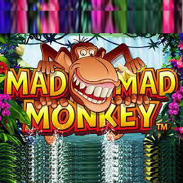 Mad Mad Monkey Logo